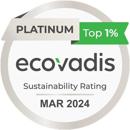 EcoVadis 2024 Platinum Medal